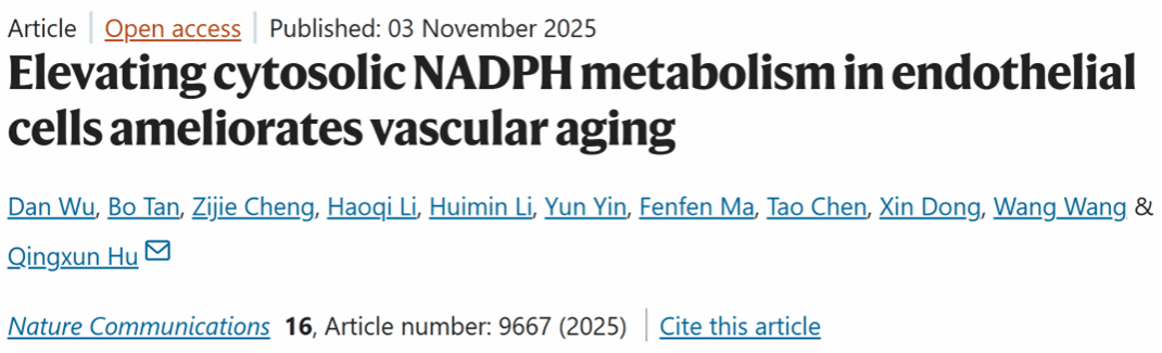 82FDCDCB498D54F834108094445_E4A1FE8E_B17D