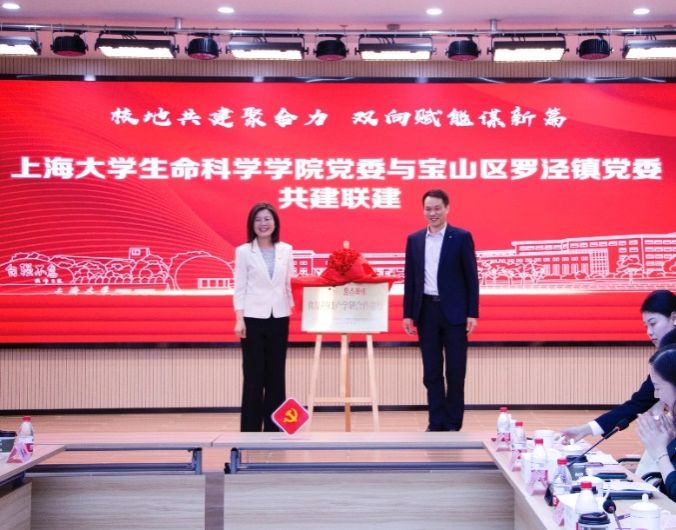 707511BCA29CD4FC026E998E56D_A3EBC75B_11B12