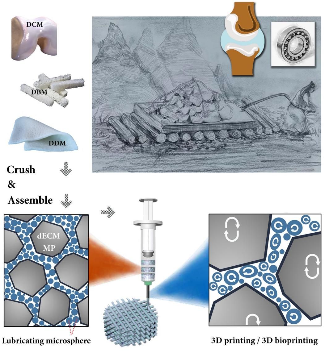 38F0996AC52450DE6CDC29AAF41_F30A0642_2B5D7