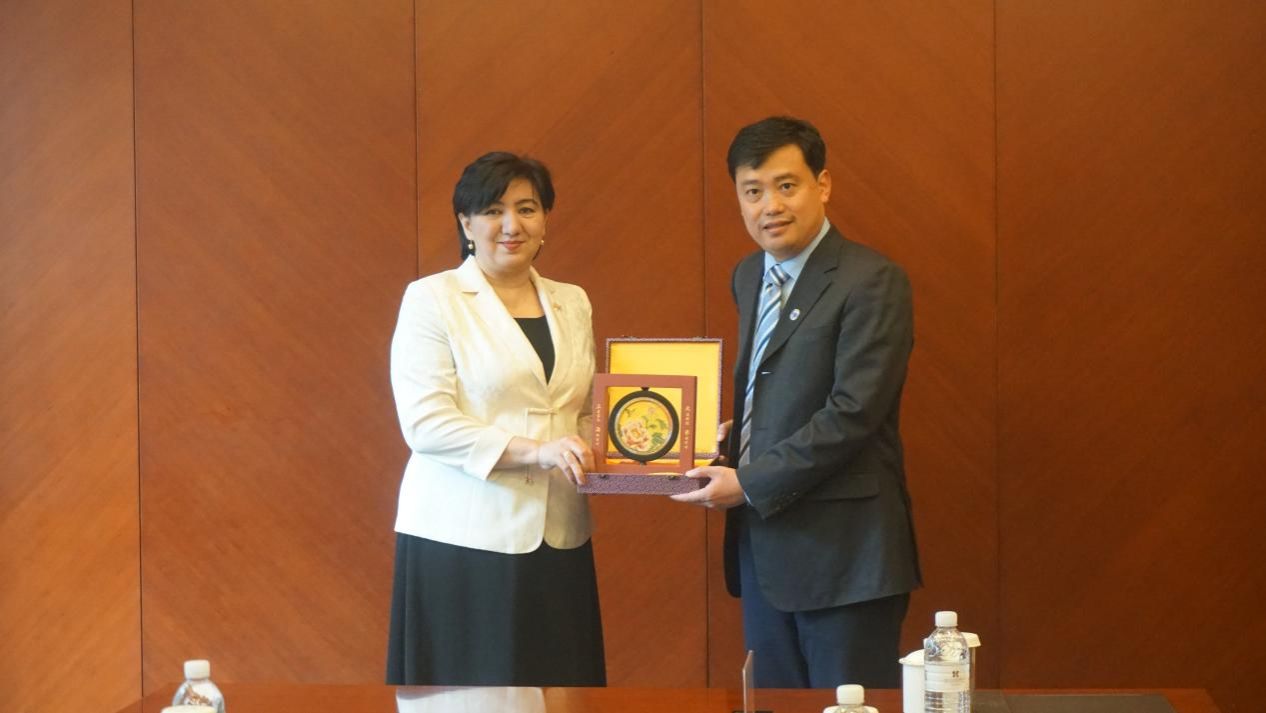 43EB0B7D36234E8B67F4933E5BE_FC487013_1019A