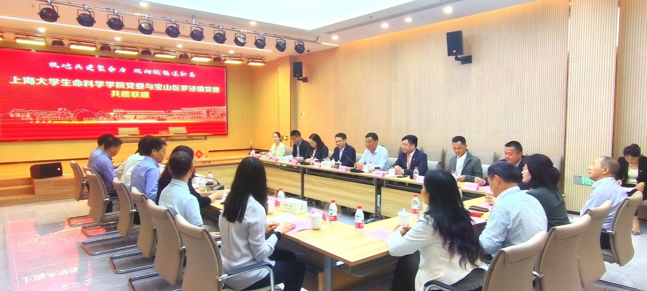 D34D11AD2609C223C4B5CE93B6D_92041B48_23947