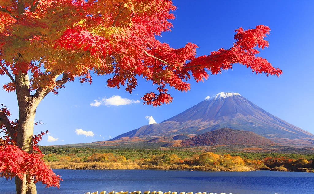 J9.COM·(中国集团)官方网站