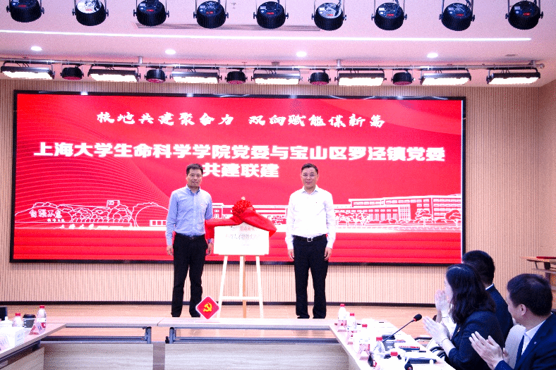 BCD691A8E6818E64306834C1E4F_E03DE29F_36441