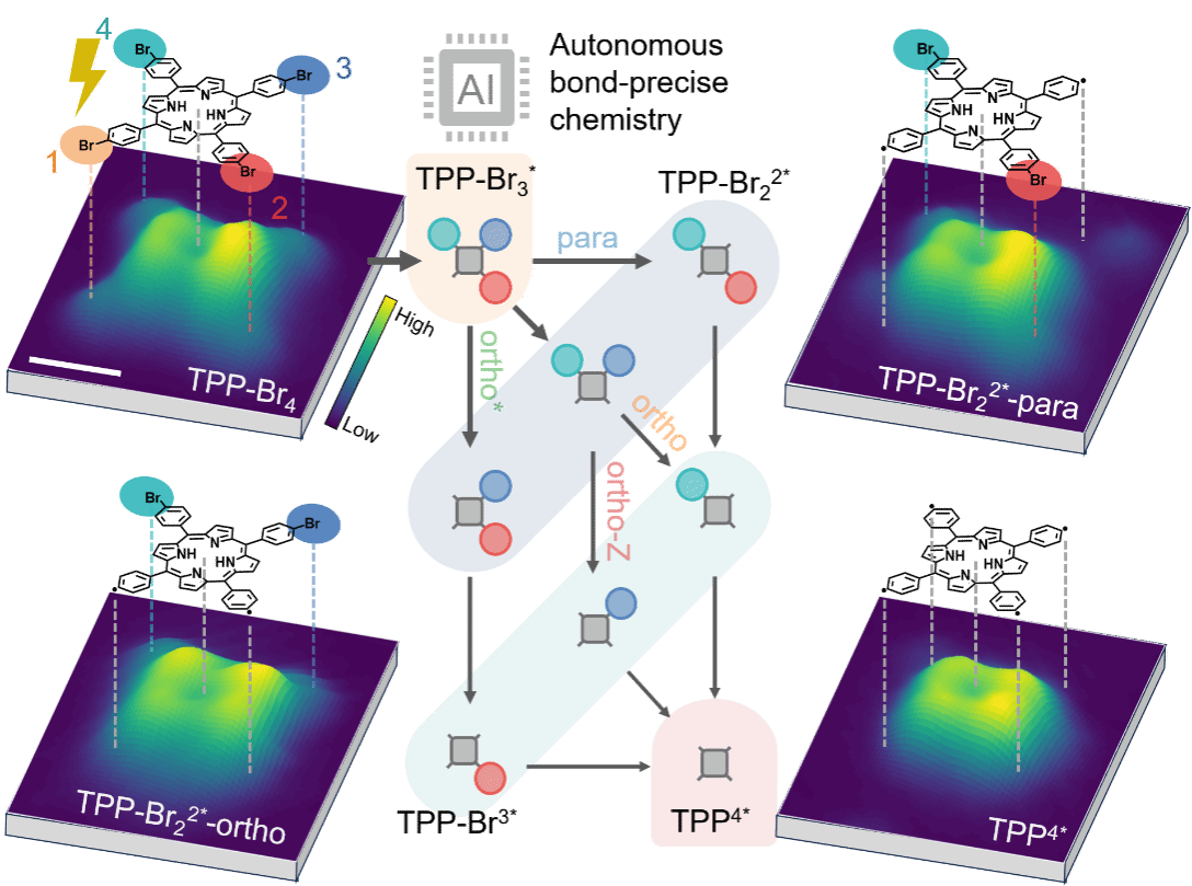 8FA3FC5449ED01BDAB75D01BED9_CC915B33_1A406