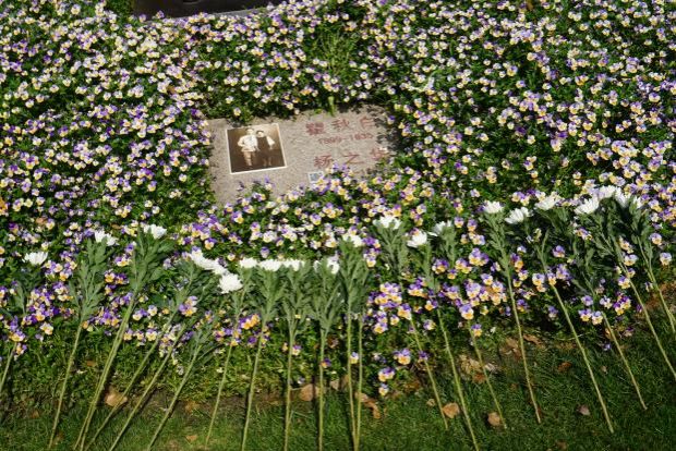 0493200FB5587111C3BD55ED4E7_FAF01EFA_1B082