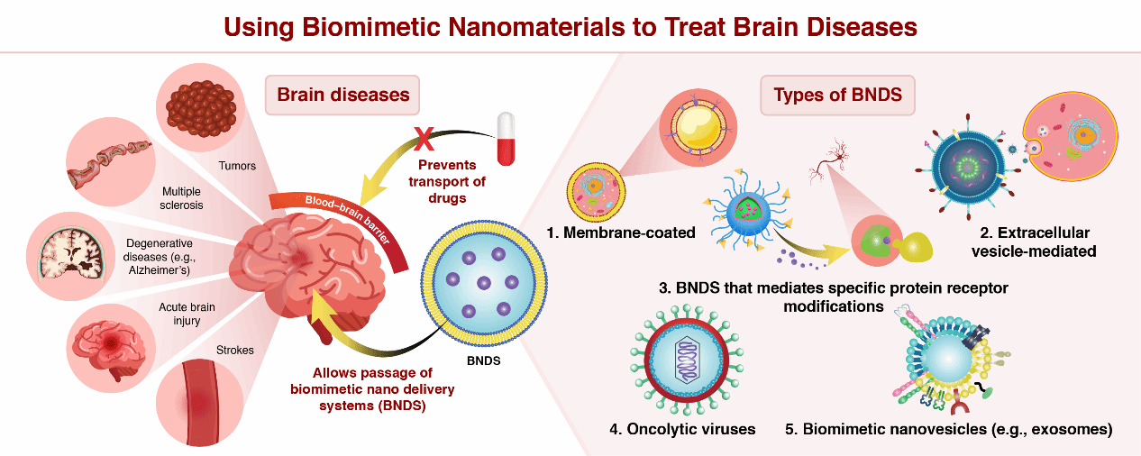 6D309F57249B5EC682017160655_CDE88B3A_15994